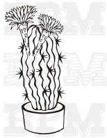 /album/kvety-stromy/kvety-34-jpg/